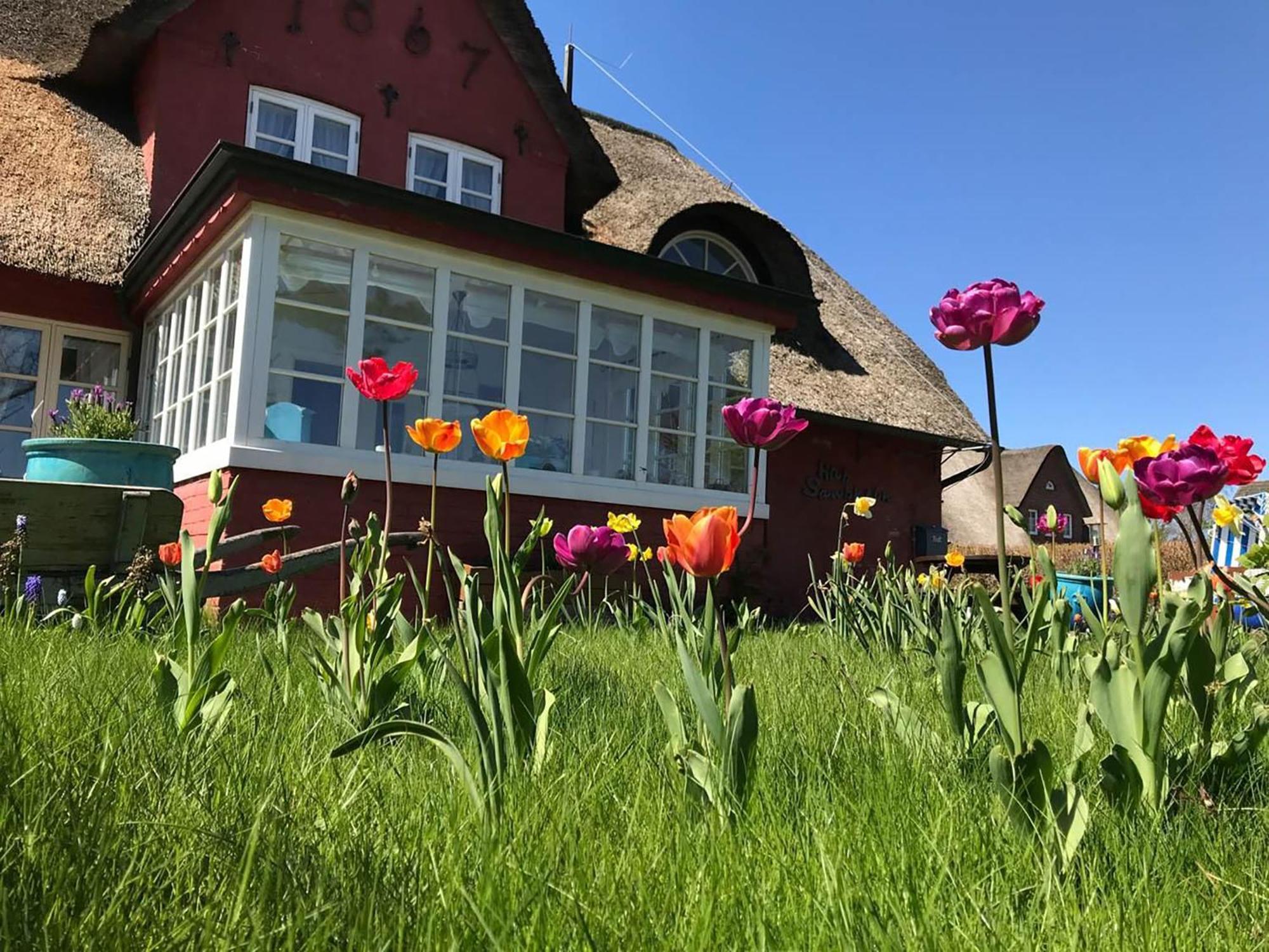 Hues Sanskiin Ferienwohnung *Goodshenk* Suddorf Buitenkant foto
