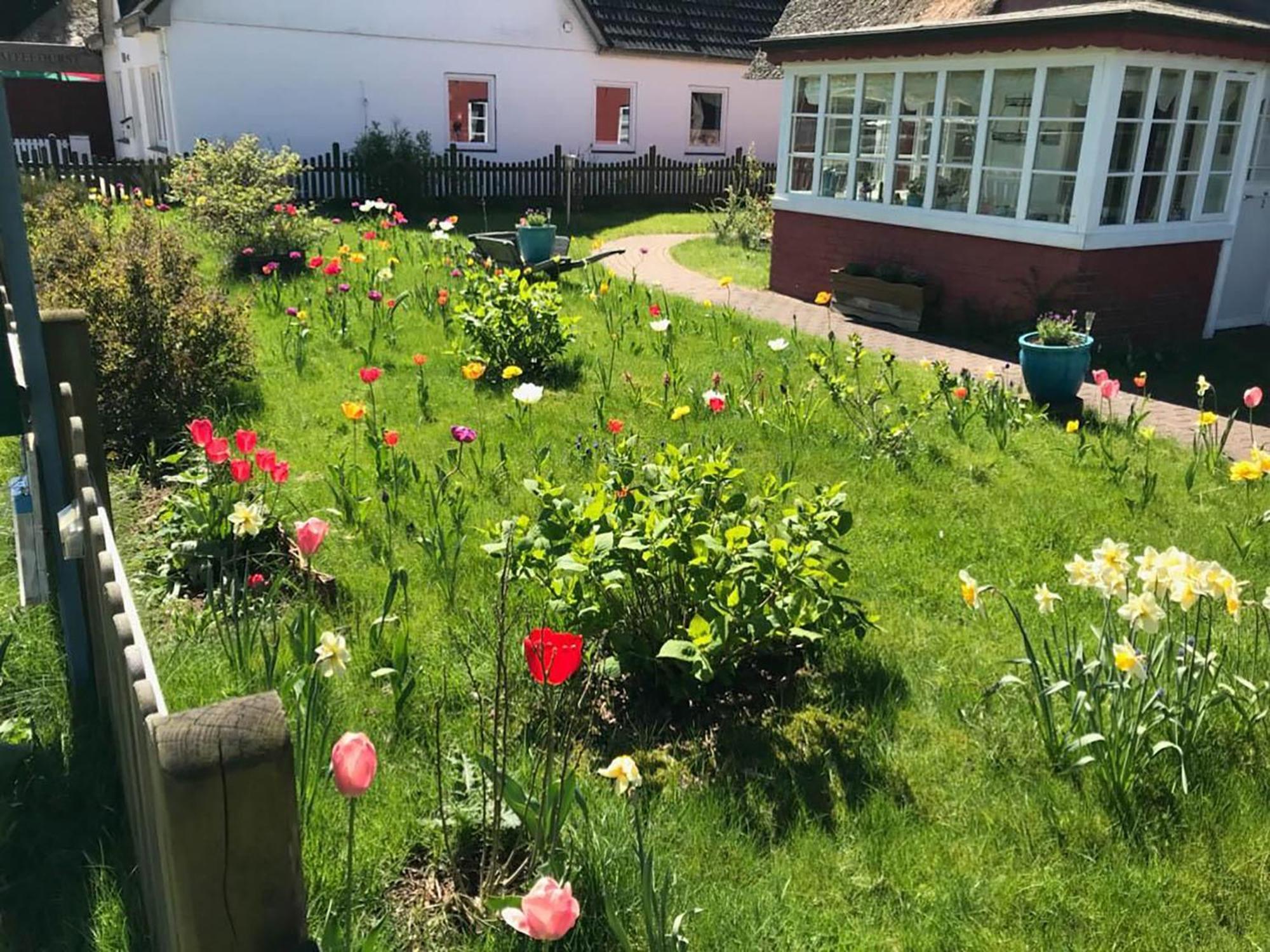 Hues Sanskiin Ferienwohnung *Goodshenk* Suddorf Buitenkant foto